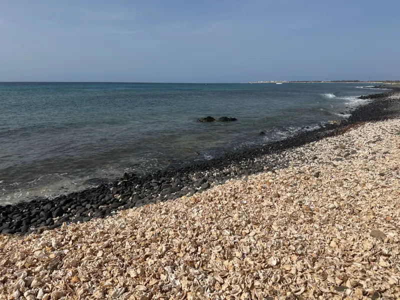 Playa de las conchas La playa de las conchas de Santa Maria, con toda la orilla recubierta de conchas, piedras negras y el mar azul oscuro de fondo