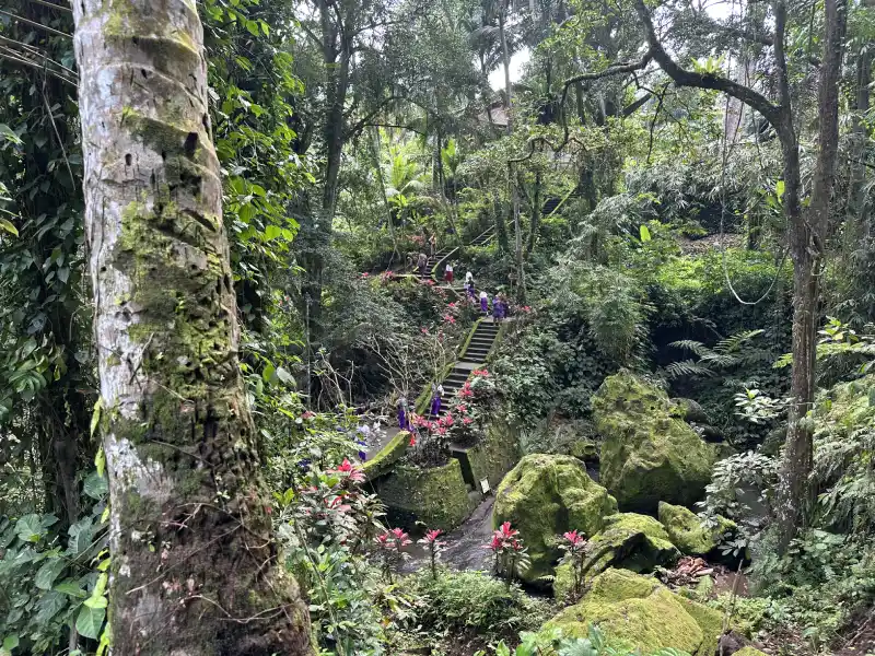 Sendero que atraviesa el bosque lleno de vegetación y rocas cubiertas por musgo en el recinto de Goa Gajah, uno de los templos que ver en Bali