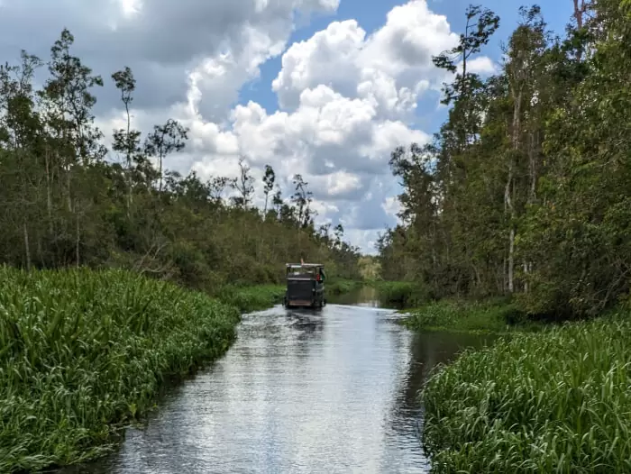 Vistas del rio y la selva de Tanjung Puting en Borneo durante nuestro viaje a Indonesia por libre