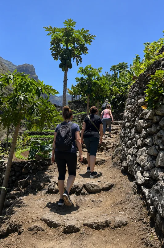 Grupo de personas recorriendo un sendero entre terrazas agrícolas en Santo Antão Cabo Verde